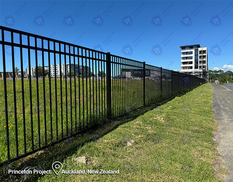 Auckland-4.jpg