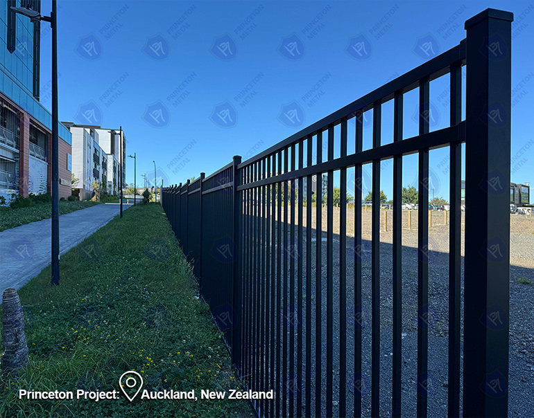 Auckland-3.jpg