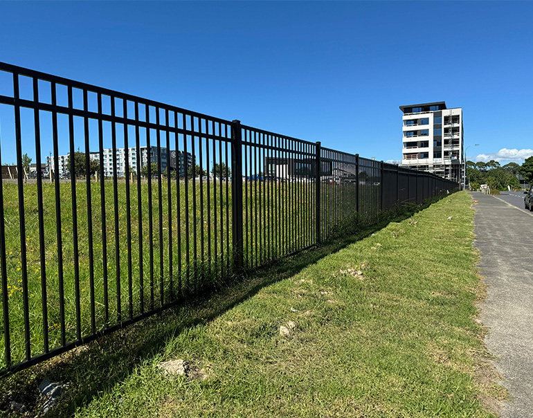 Auckland-6.jpg